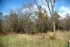 #36 Daisy Patch Rd Door County Land in Door County - Connie Erickson Real Estate
