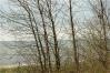 3288 Lake Forest Park Dr Door County  - Connie Erickson Real Estate