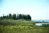 8053 Ridges Rd Door County Land in Door County - Connie Erickson Real Estate