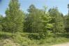 Timberline Rd Door County Land in Door County - Connie Erickson Real Estate